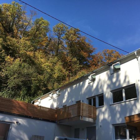 Ferienwohnungen Lamisto Am Waldesrand Neckartenzlingen Buitenkant foto