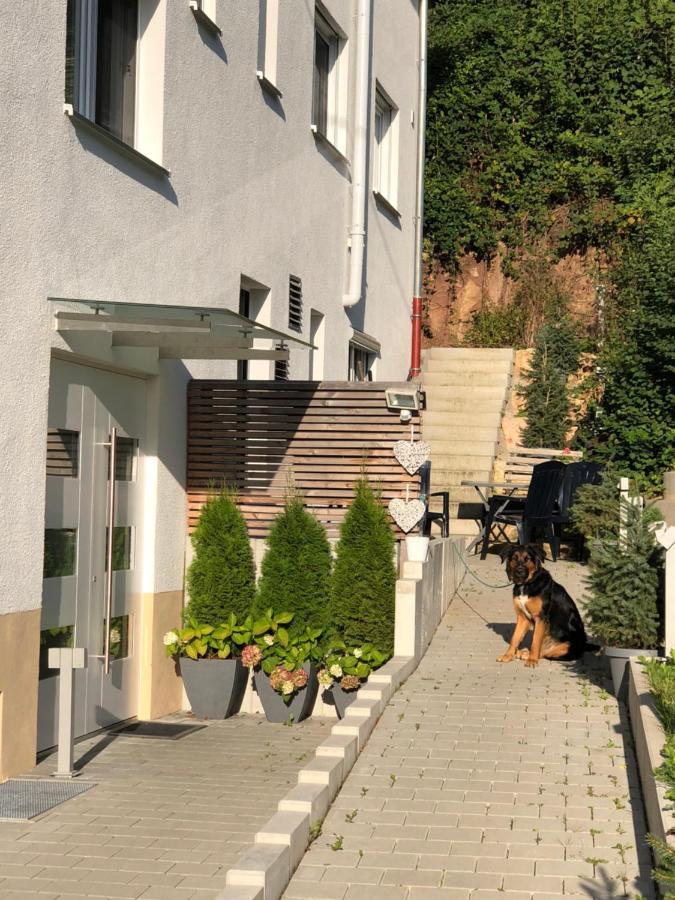 Ferienwohnungen Lamisto Am Waldesrand Neckartenzlingen Buitenkant foto